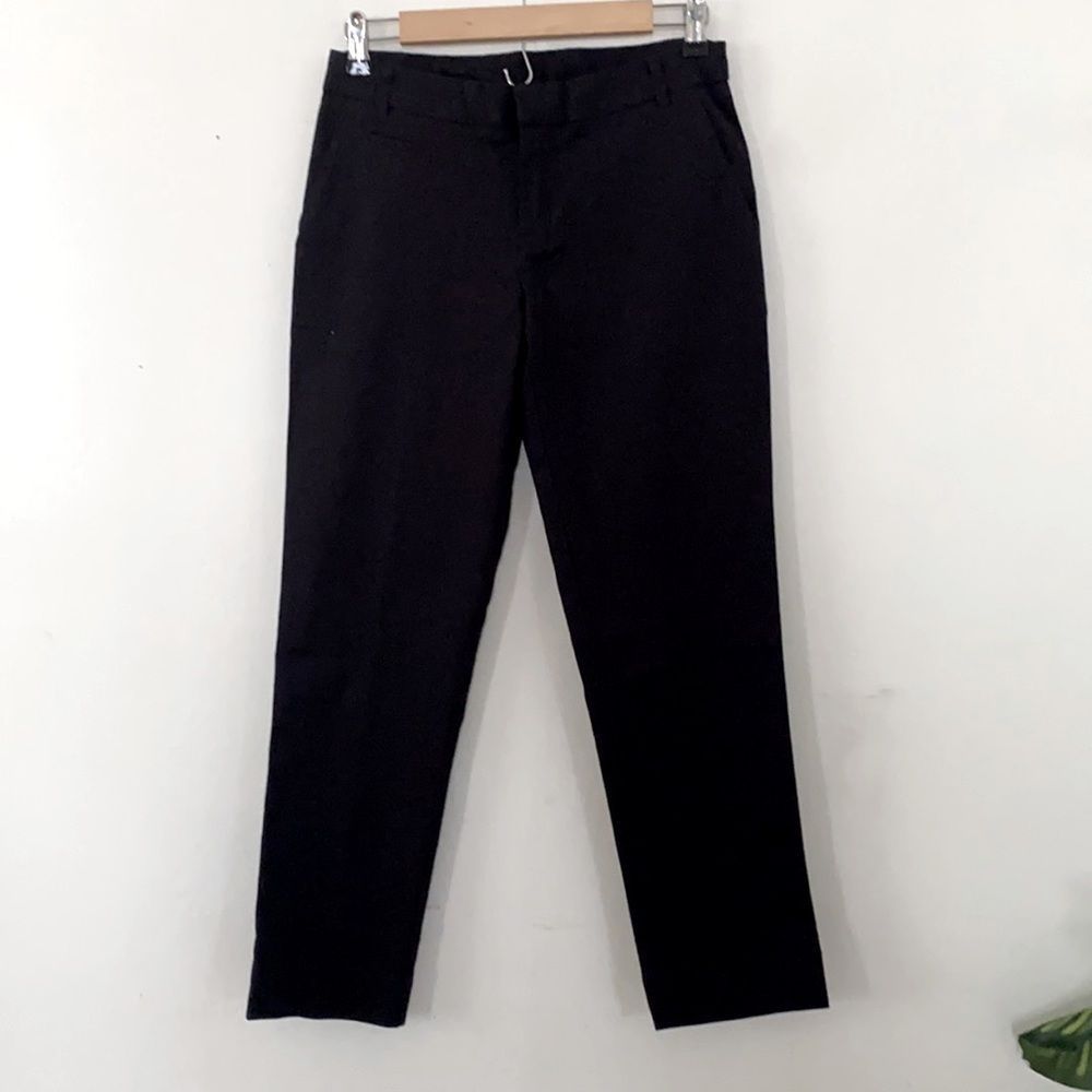 🤩 Like NEW - Patagonia - Common Threads - Slacks Pants - 2